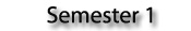 Semester 1