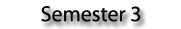Semester 3