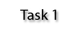 Task 1